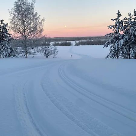 Row House In Meltosjärvi