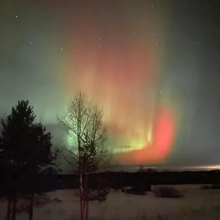 Row House In * Meltosjärvi