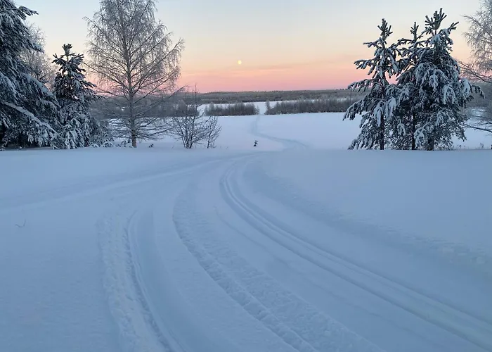 Row House In Meltosjärvi