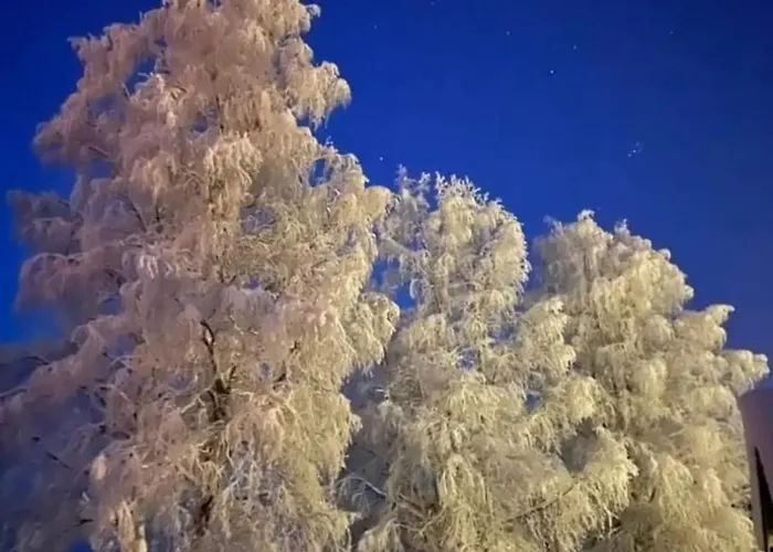 Row House In Apartman *