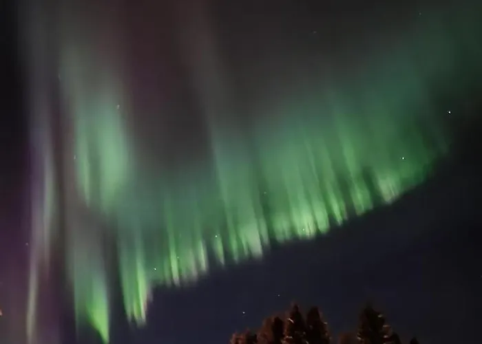 Apartman Row House In